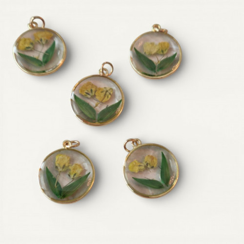 IMG_20260207_015143 (2).jpg